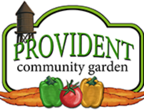 Seed Class at the Provident Community Garden